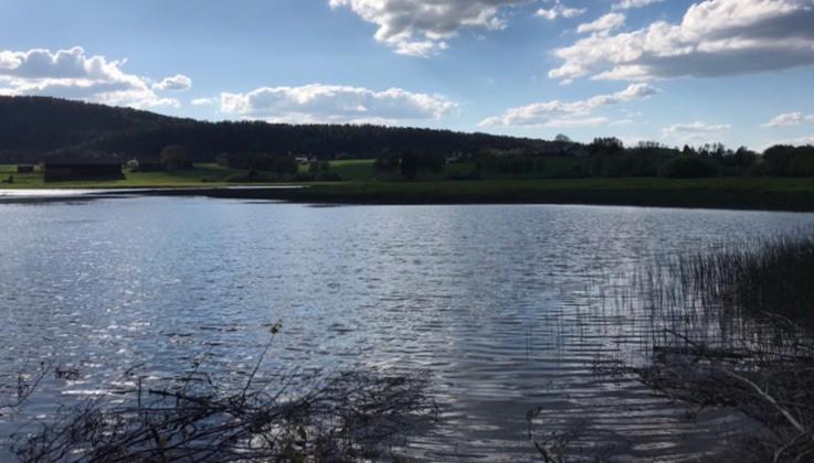 Smabruket Stall Solheim Rodby المظهر الخارجي الصورة